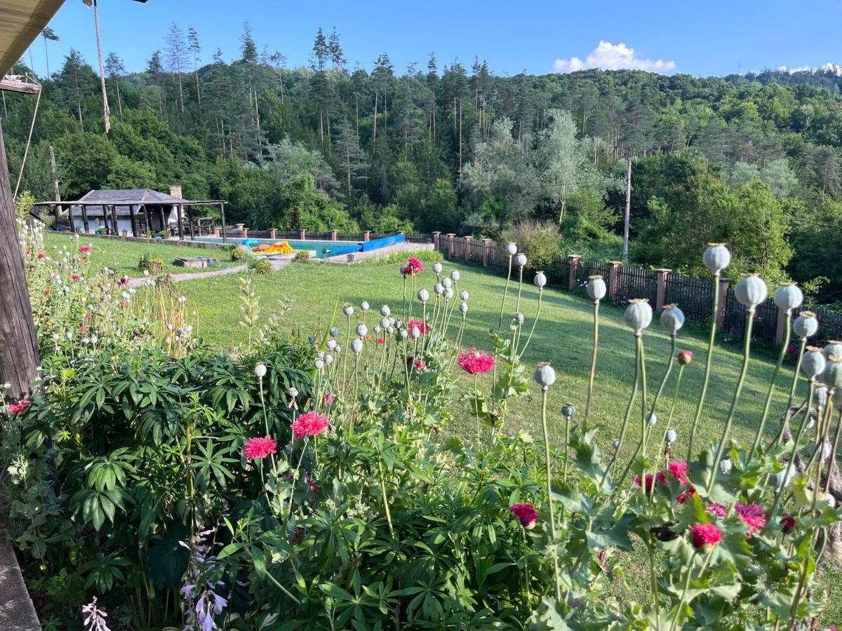 Вілла Agriturismo Hidden Paradise Трявна Екстер'єр фото