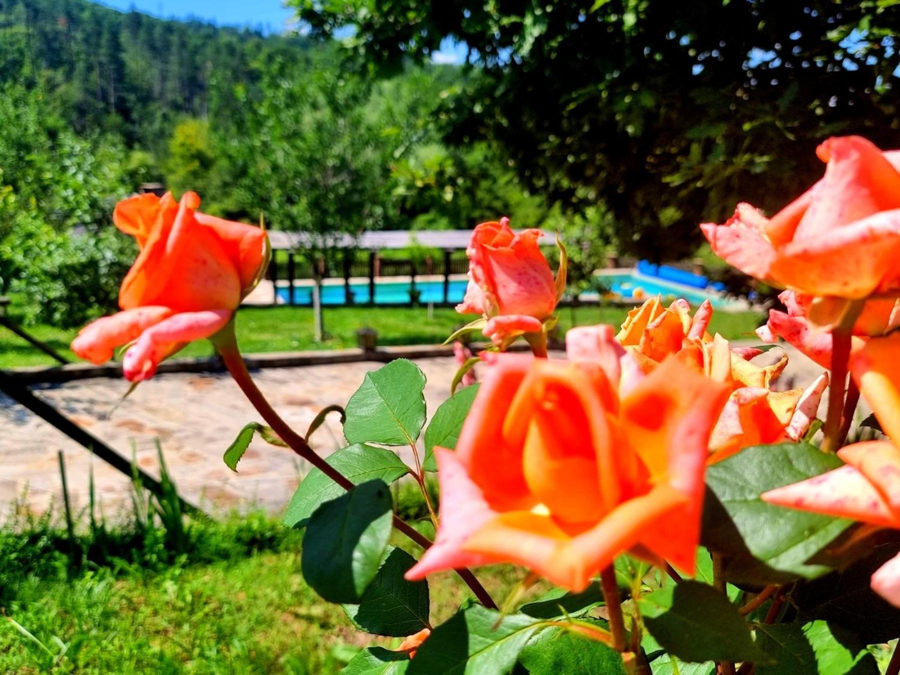 Вілла Agriturismo Hidden Paradise Трявна Екстер'єр фото