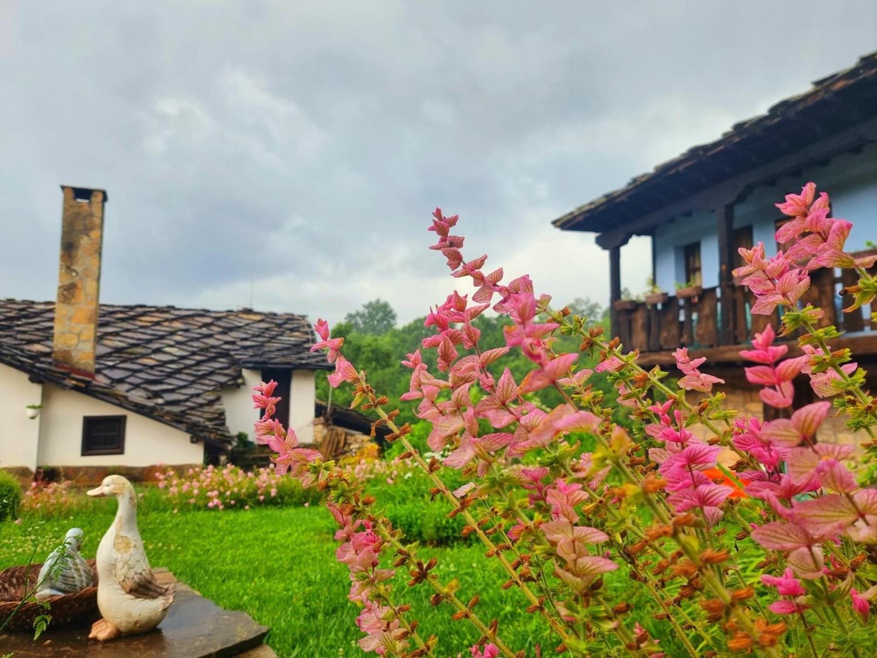 Вілла Agriturismo Hidden Paradise Трявна Екстер'єр фото