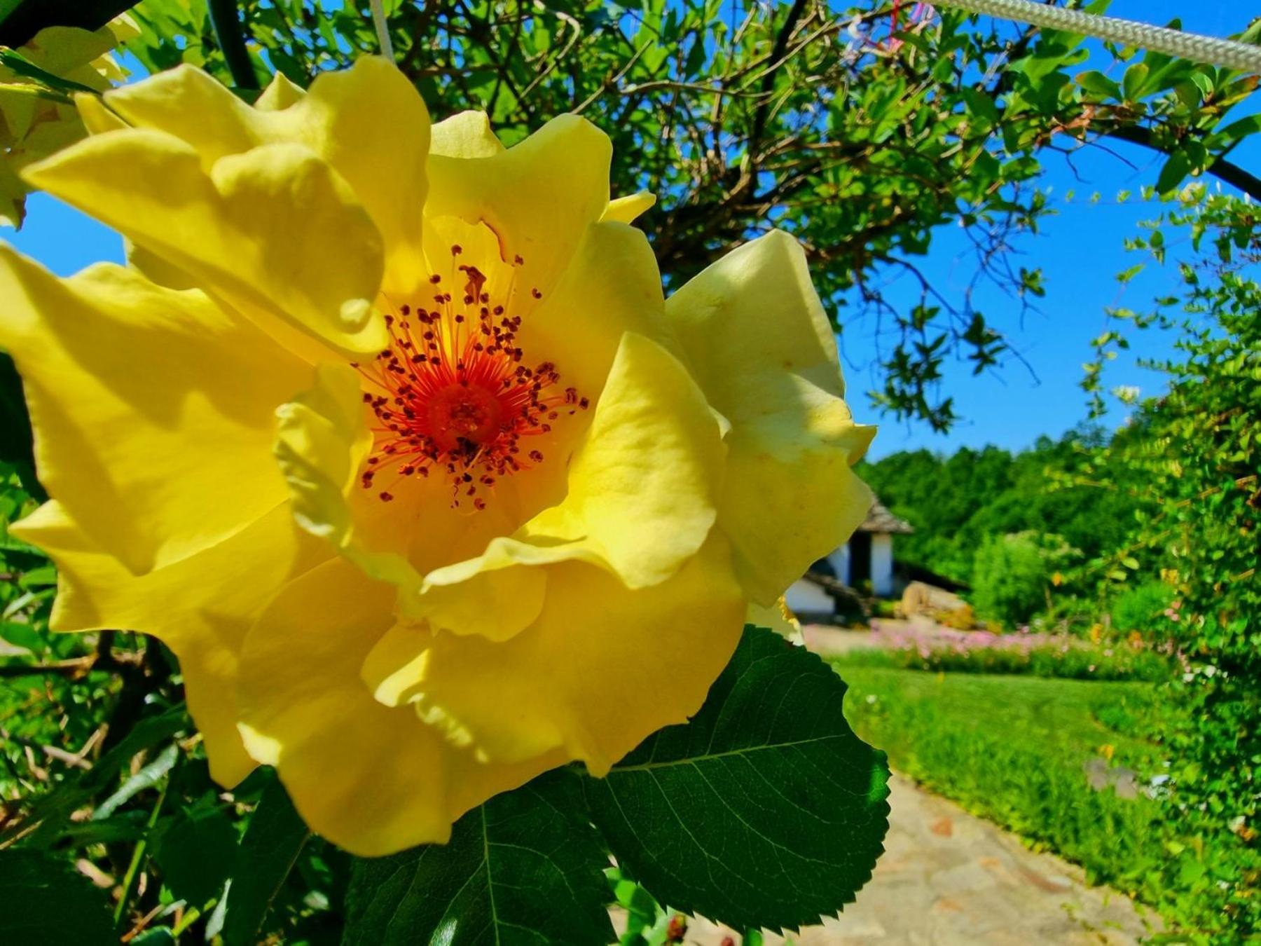 Вілла Agriturismo Hidden Paradise Трявна Екстер'єр фото