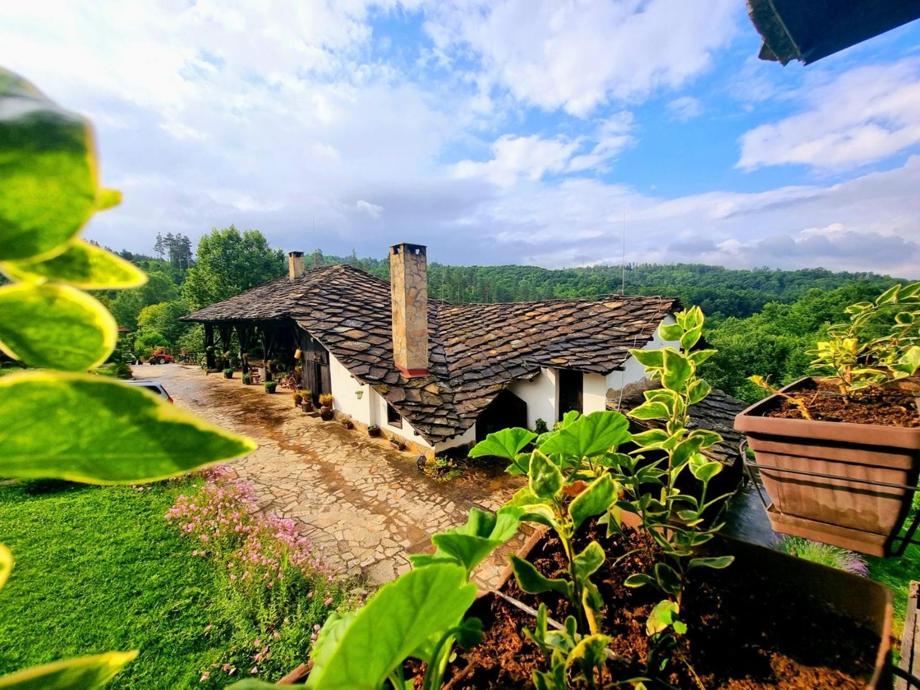 Вілла Agriturismo Hidden Paradise Трявна Екстер'єр фото