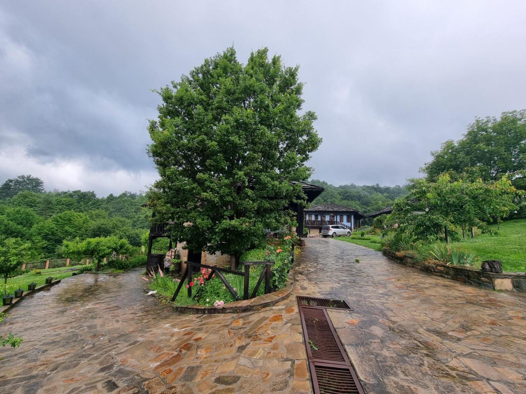 Вілла Agriturismo Hidden Paradise Трявна Екстер'єр фото