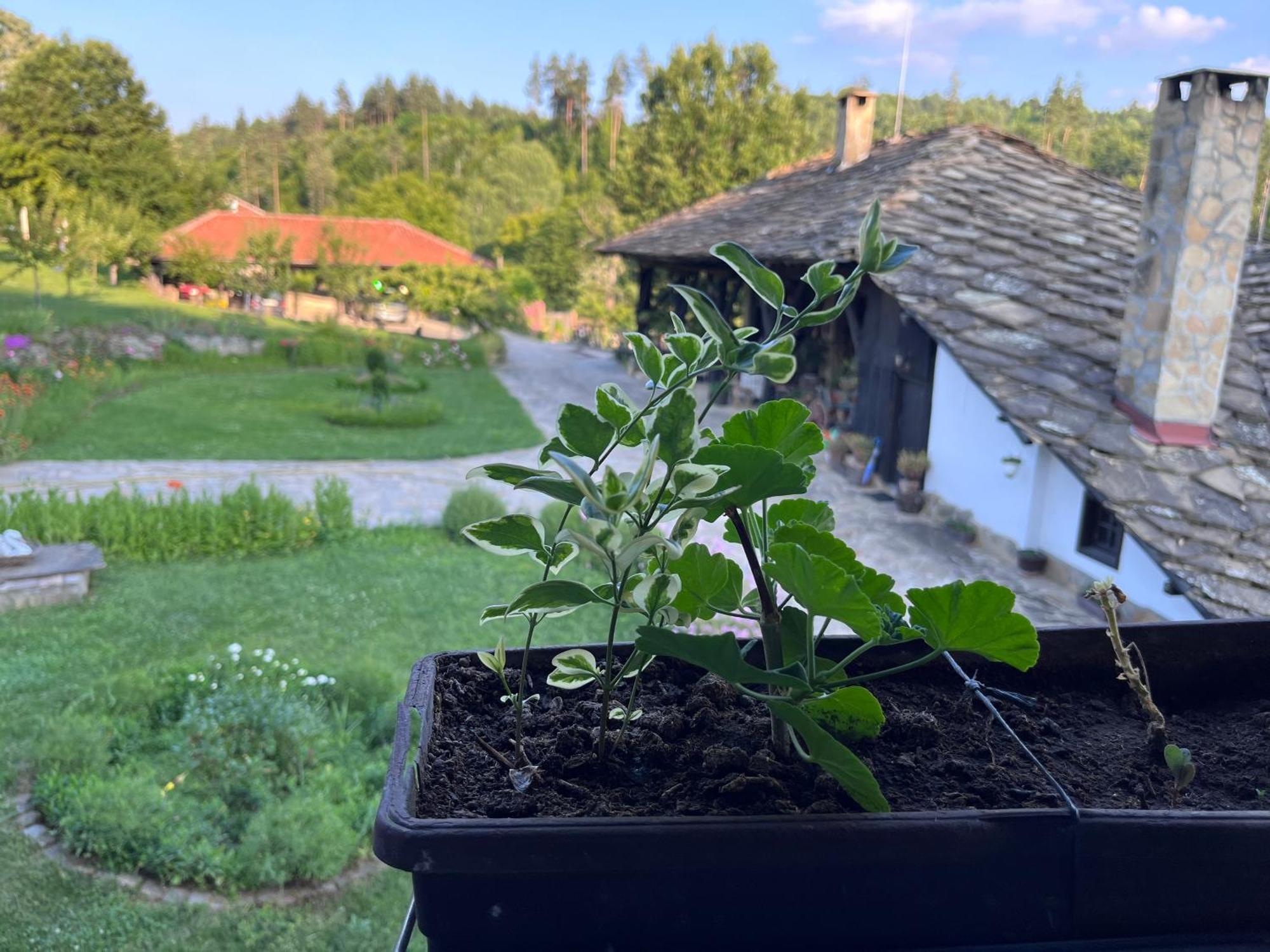 Вілла Agriturismo Hidden Paradise Трявна Екстер'єр фото