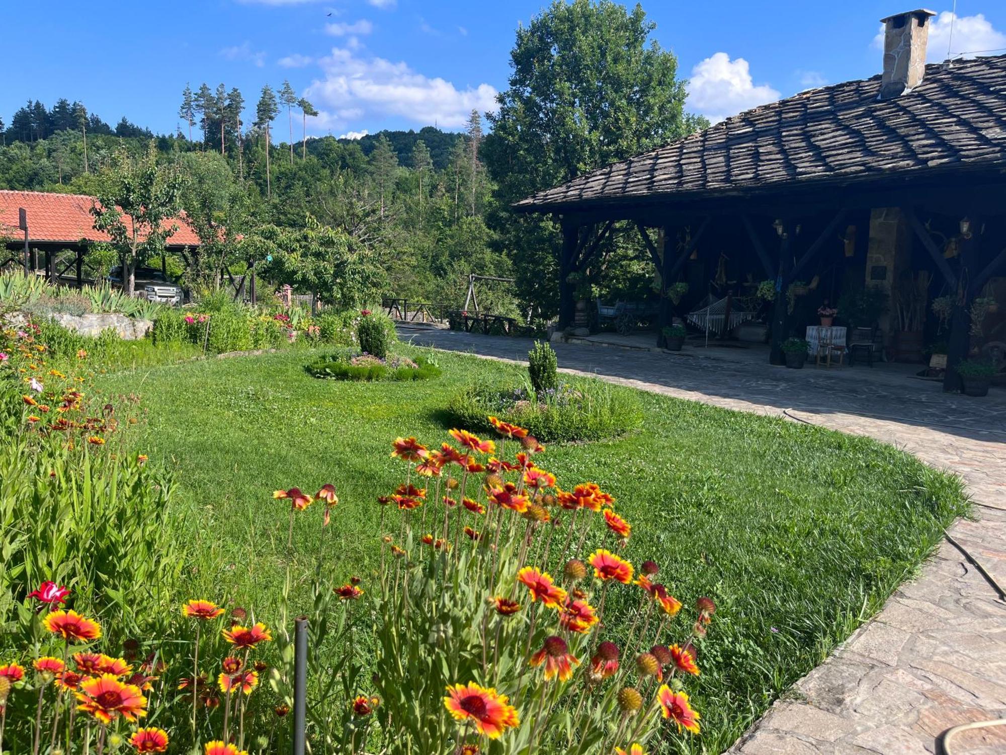 Вілла Agriturismo Hidden Paradise Трявна Екстер'єр фото