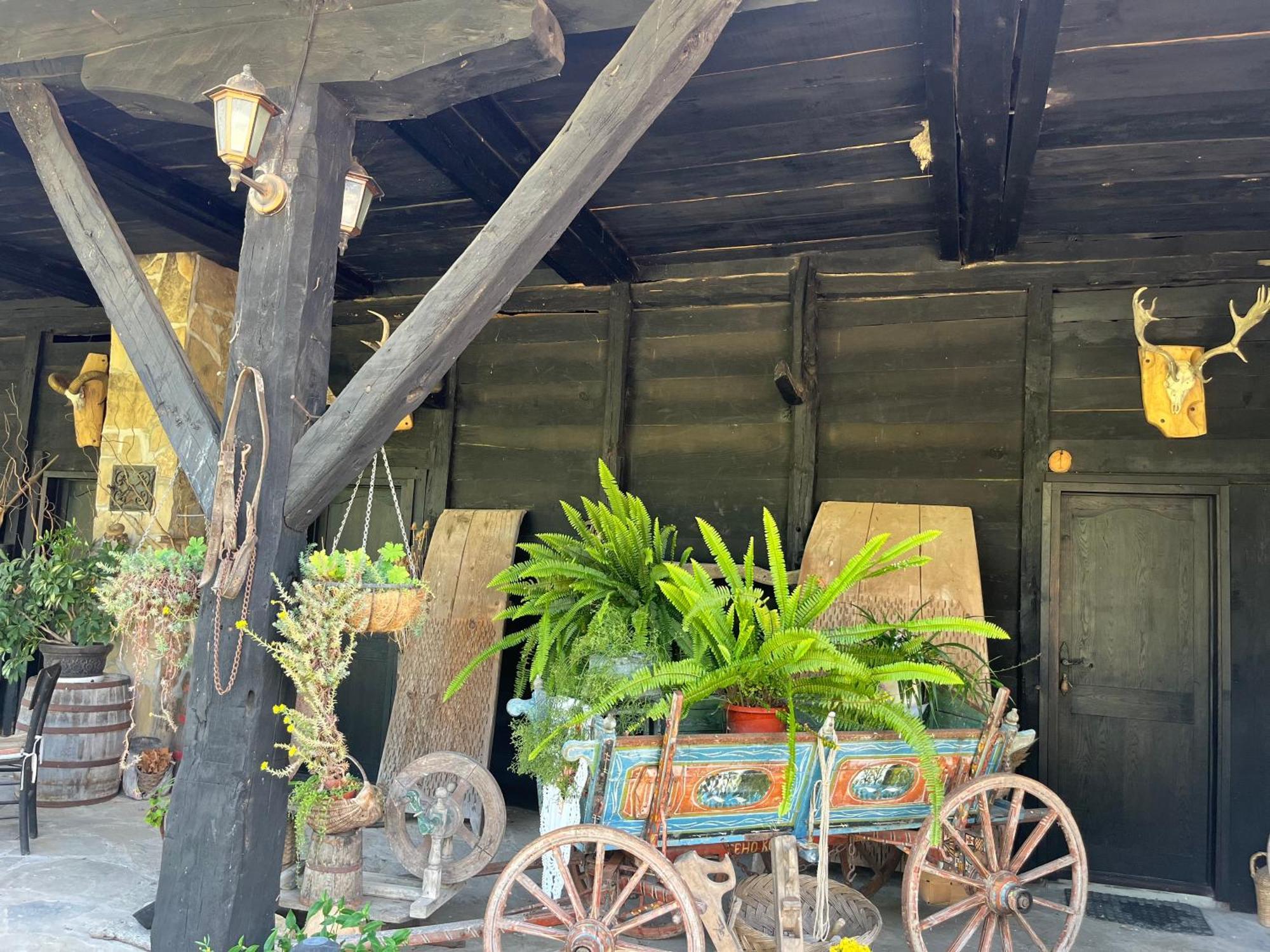 Вілла Agriturismo Hidden Paradise Трявна Екстер'єр фото